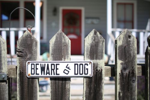Dog Bite Liability Understanding Owner Responsibility in Central Pennsylvania