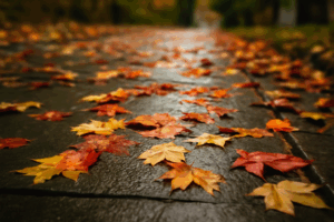 Wet Leaves and Slick Sidewalks Building a Fall Slip and Fall Case in Lancaster